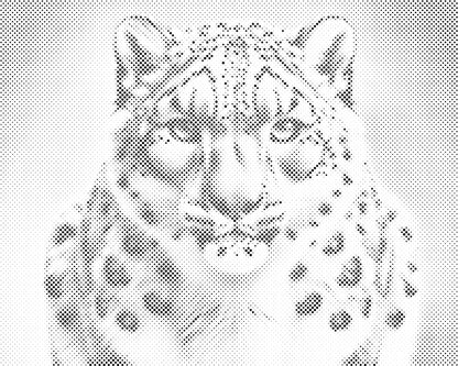 Mal-med-prikker -  Leopard