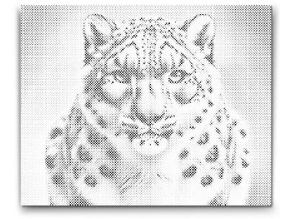Mal-med-prikker -  Leopard
