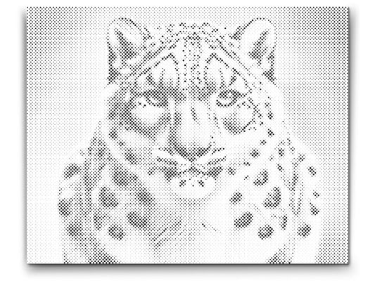 Mal-med-prikker -  Leopard