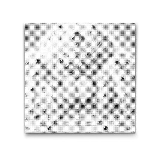 Edderkop med diamanter