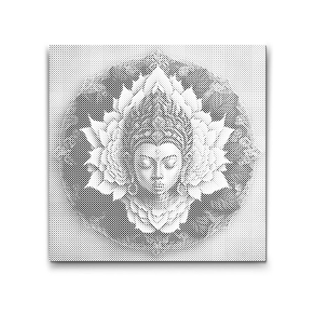 Buddha i mandala