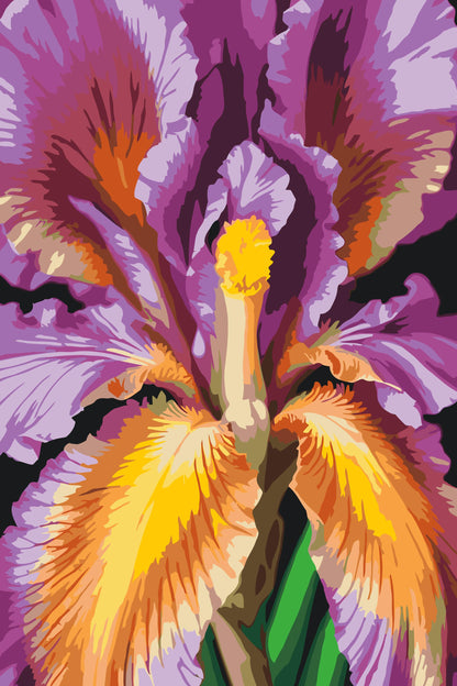 Paint by Numbers - Irisblomst