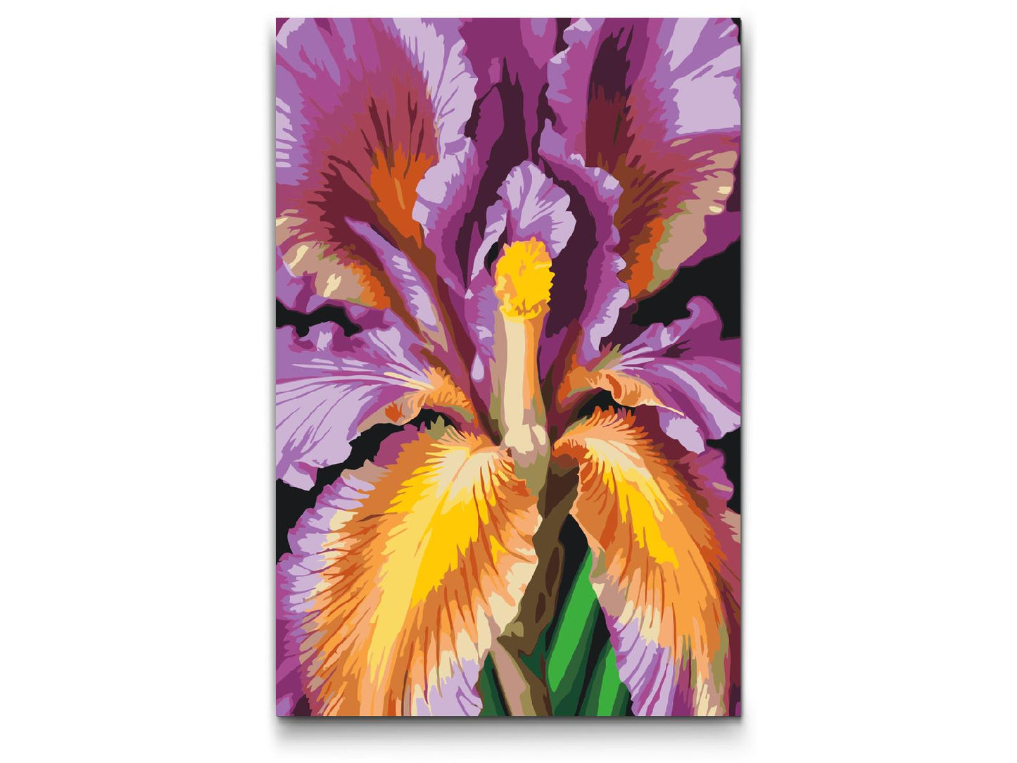 Paint by Numbers - Irisblomst