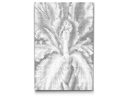 Mal-med-prikker -  Irisblomst