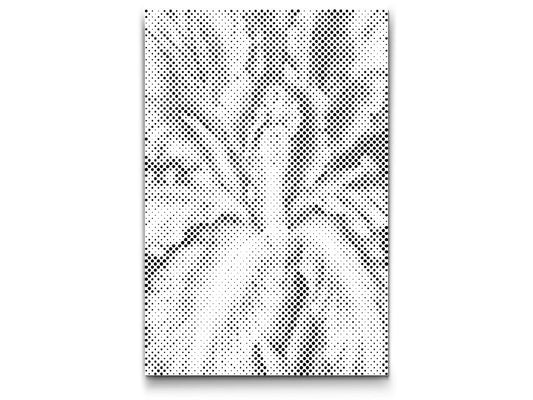 Mal-med-prikker -  Irisblomst