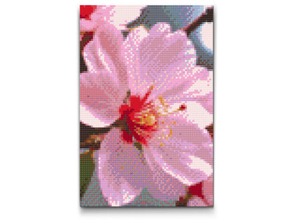 Diamond Painting - Kirsebærblomst