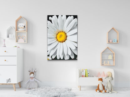 Paint by Numbers - Margueritblomst