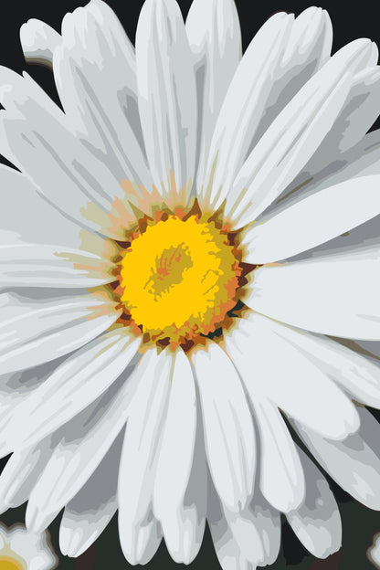 Paint by Numbers - Margueritblomst