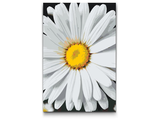 Paint by Numbers - Margueritblomst