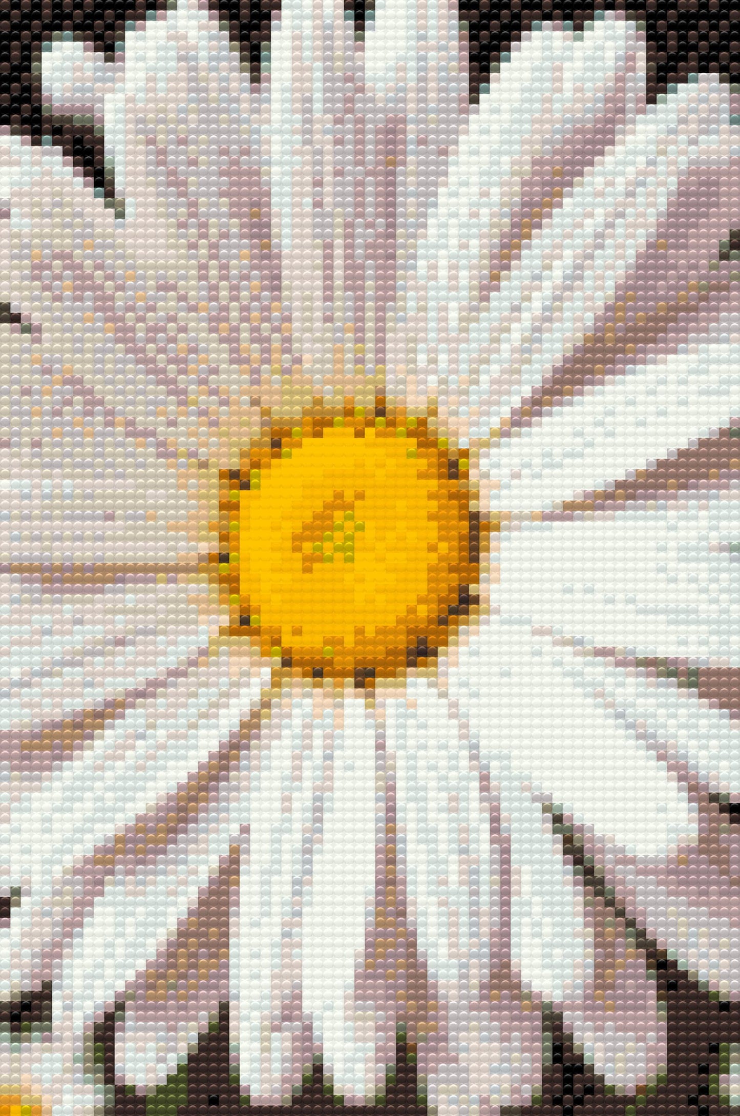 Diamond Painting - Margueritblomst