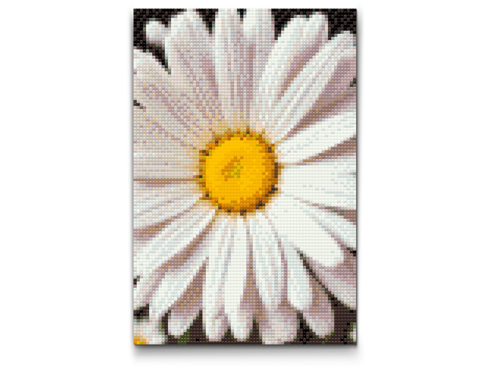 Diamond Painting - Margueritblomst