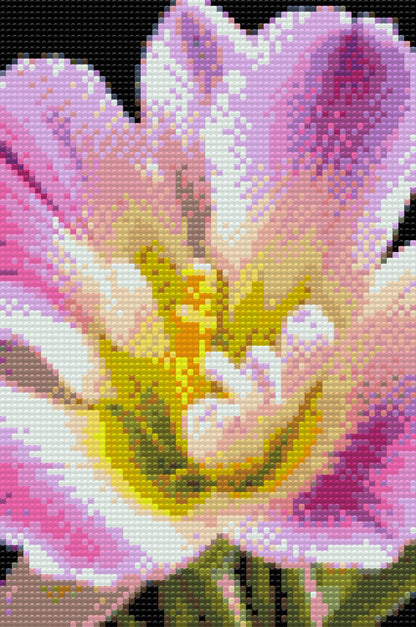 Diamond Painting - Freesiablomst