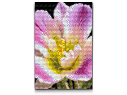 Diamond Painting - Freesiablomst