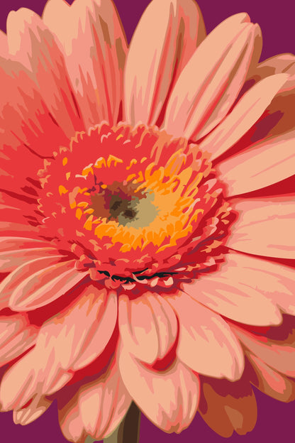 Paint by Numbers - Gerberablomst