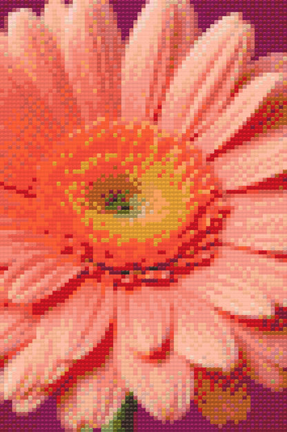 Diamond Painting - Gerberablomst