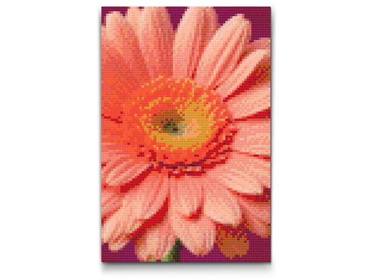 Diamond Painting - Gerberablomst