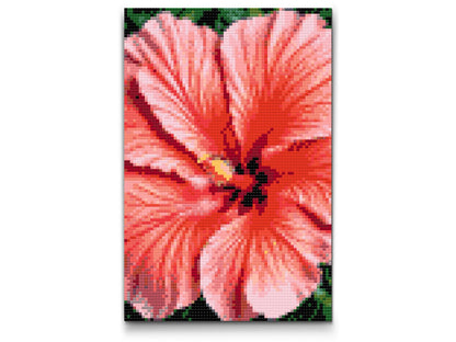 Diamond Painting - Hibiscusblomst