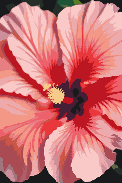 Paint by Numbers - Hibiscusblomst