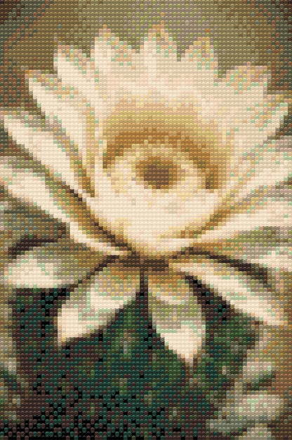 Diamond Painting - Kaktusblomst