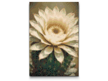 Diamond Painting - Kaktusblomst