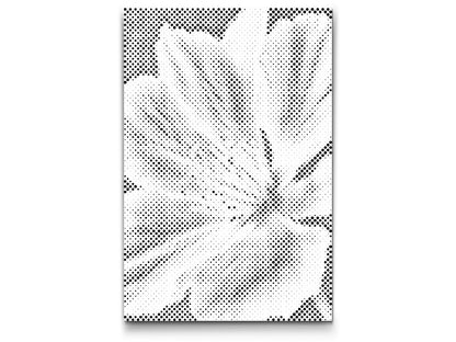 Mal-med-prikker -  Muskatnødblomst