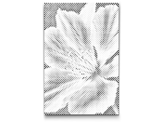Mal-med-prikker -  Muskatnødblomst