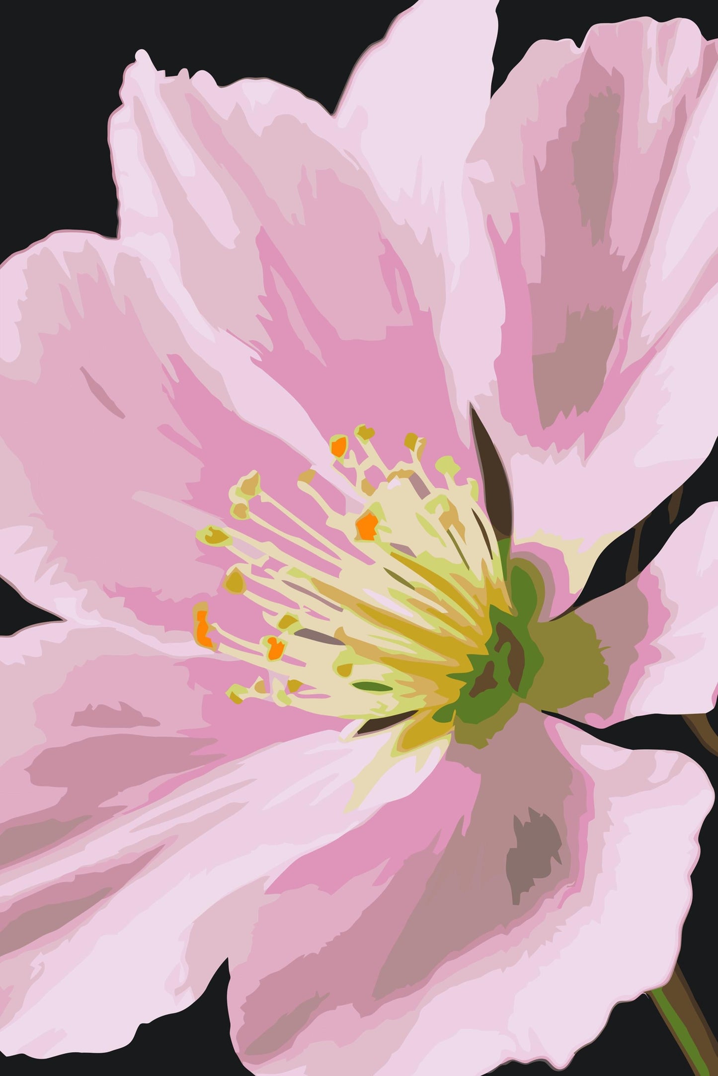 Paint by Numbers - Muskatnødblomst