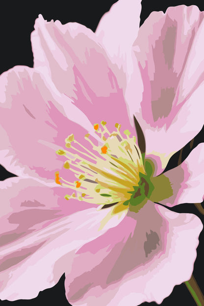Paint by Numbers - Muskatnødblomst