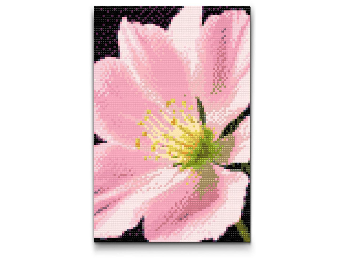 Diamond Painting - Muskatnødblomst