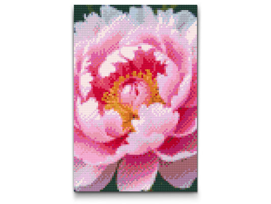 Diamond Painting - Pæonblomst