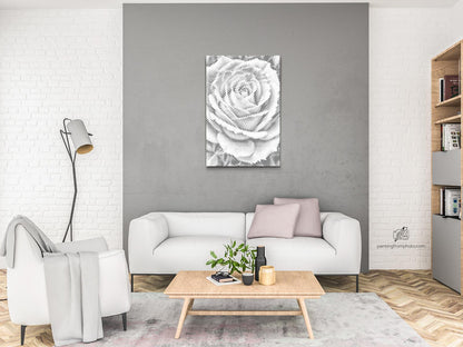 Mal-med-prikker -  Roseblomst