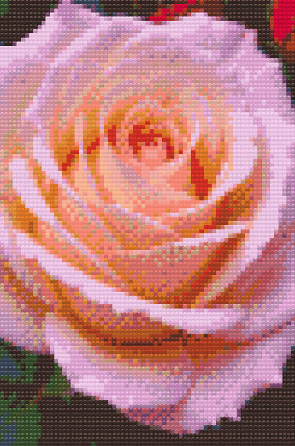 Diamond Painting - Roseblomst