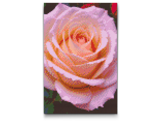 Diamond Painting - Roseblomst