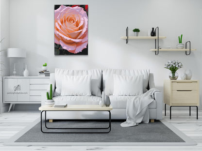 Paint by Numbers - Roseblomst