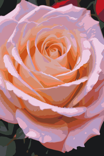 Paint by Numbers - Roseblomst