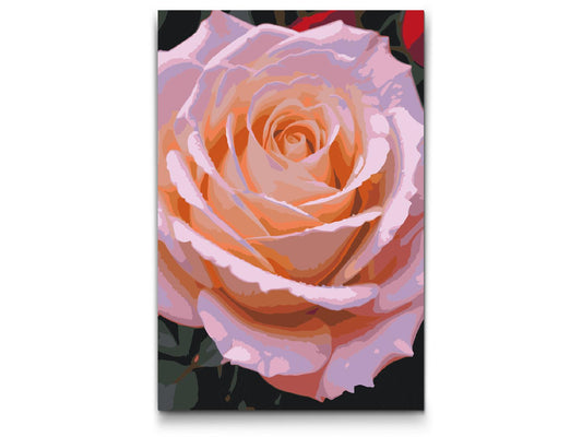 Paint by Numbers - Roseblomst