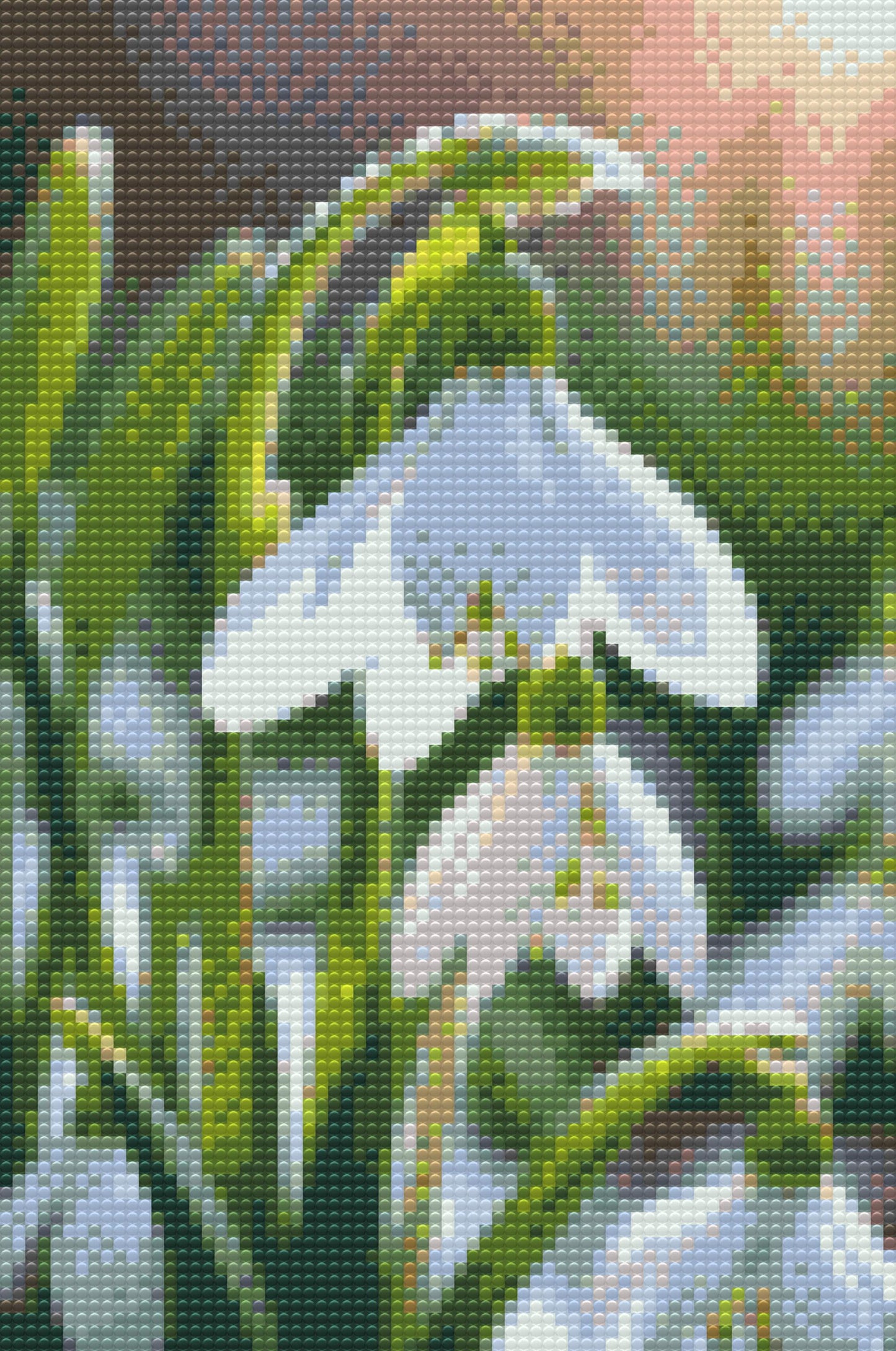 Diamond Painting - Vintergækblomst