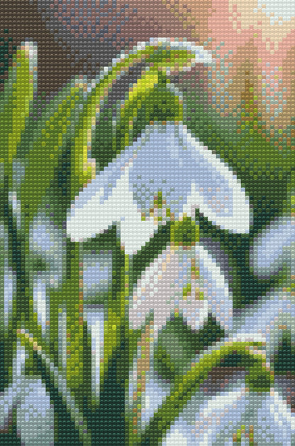 Diamond Painting - Vintergækblomst