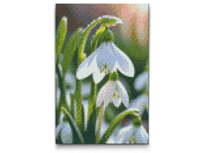Diamond Painting - Vintergækblomst