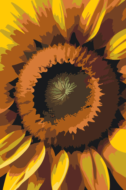 Paint by Numbers - Solsikkeblomst