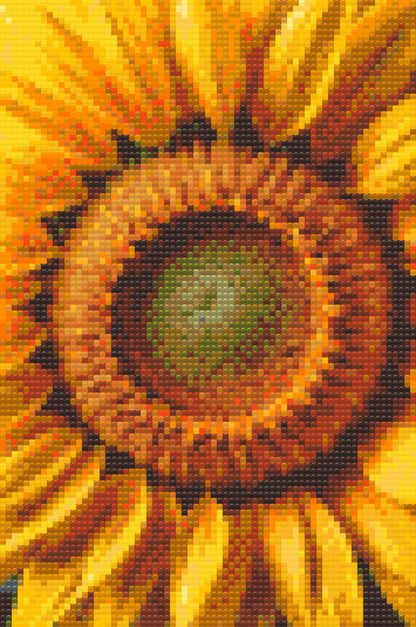 Diamond Painting - Solsikkeblomst