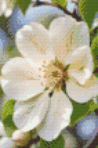 Diamond Painting - Æbleblomst