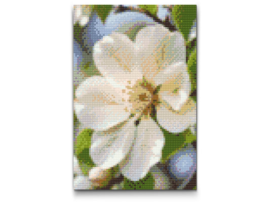 Diamond Painting - Æbleblomst