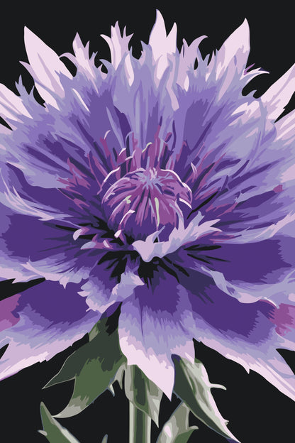 Paint by Numbers - Kornblomst