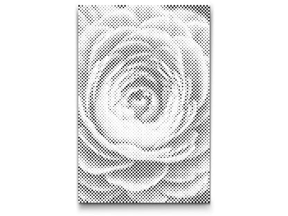 Mal-med-prikker -  Smørblomst