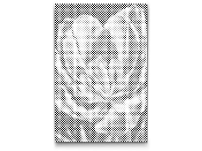 Mal-med-prikker -  Tulipanblomst