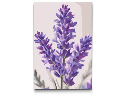 Paint by Numbers - Lavendelblomst