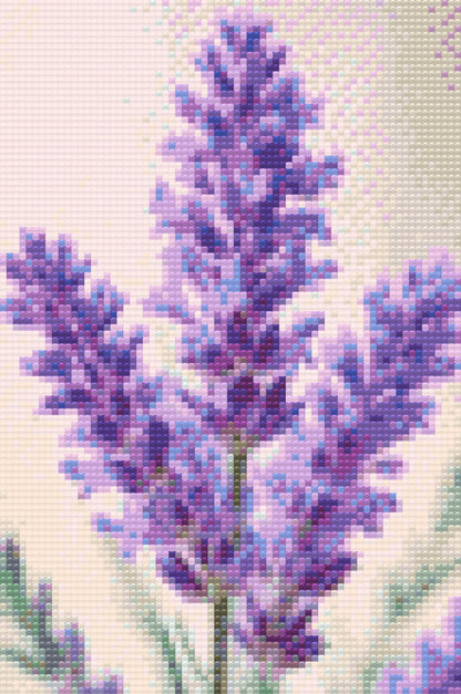 Diamond Painting - Lavendelblomst