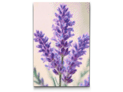 Diamond Painting - Lavendelblomst