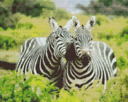 Diamond Painting - Safarizebraer